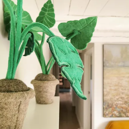 Slapen In Oude Stal *