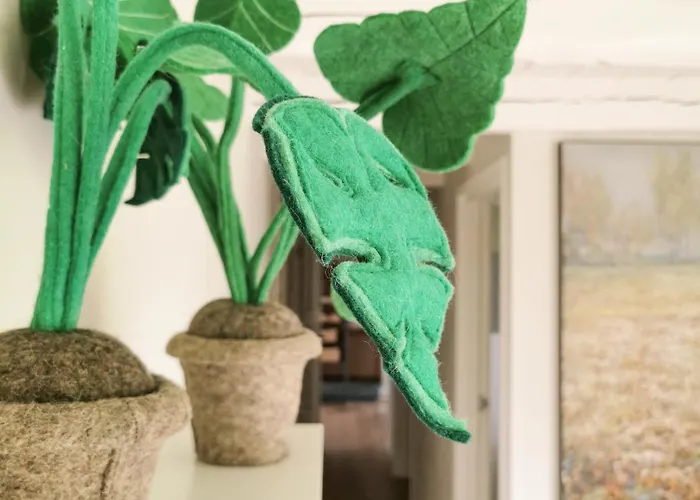 Slapen In Oude Stal *